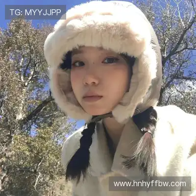 黄献崇